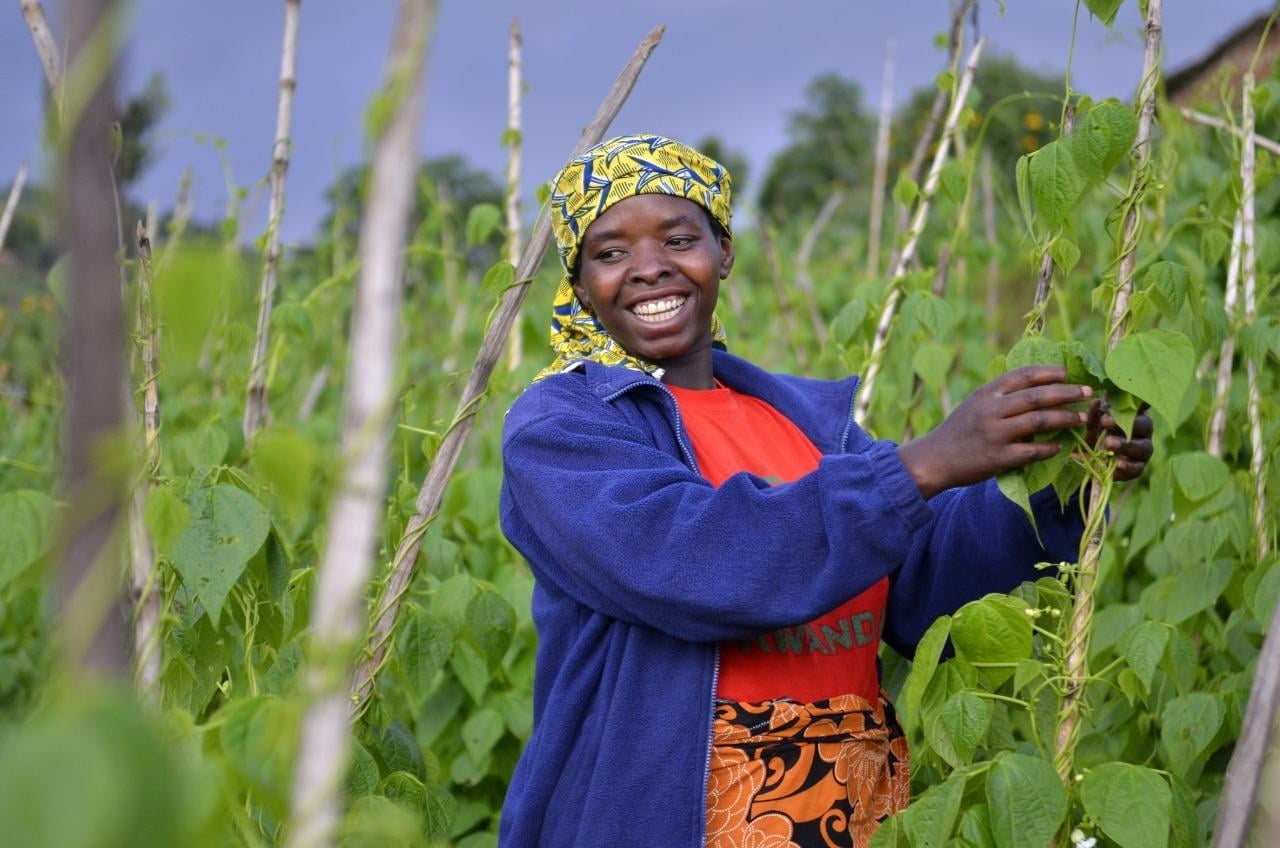 African woman between her crops
