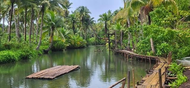 A wooden raft made of tree trunks floats on a river among palm trees.