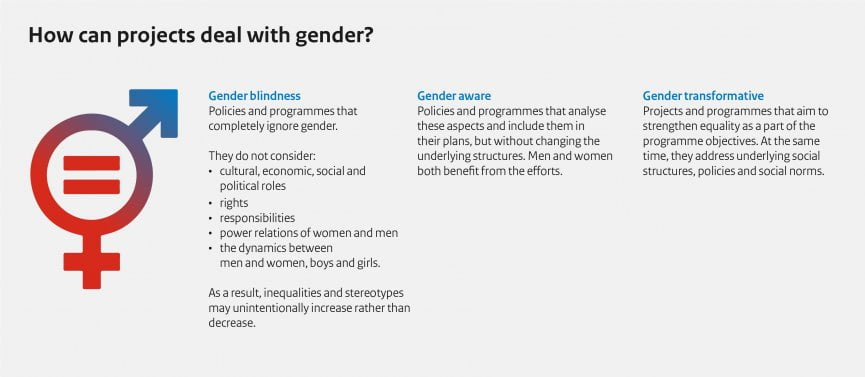 Infographic How can projects deal with gender?