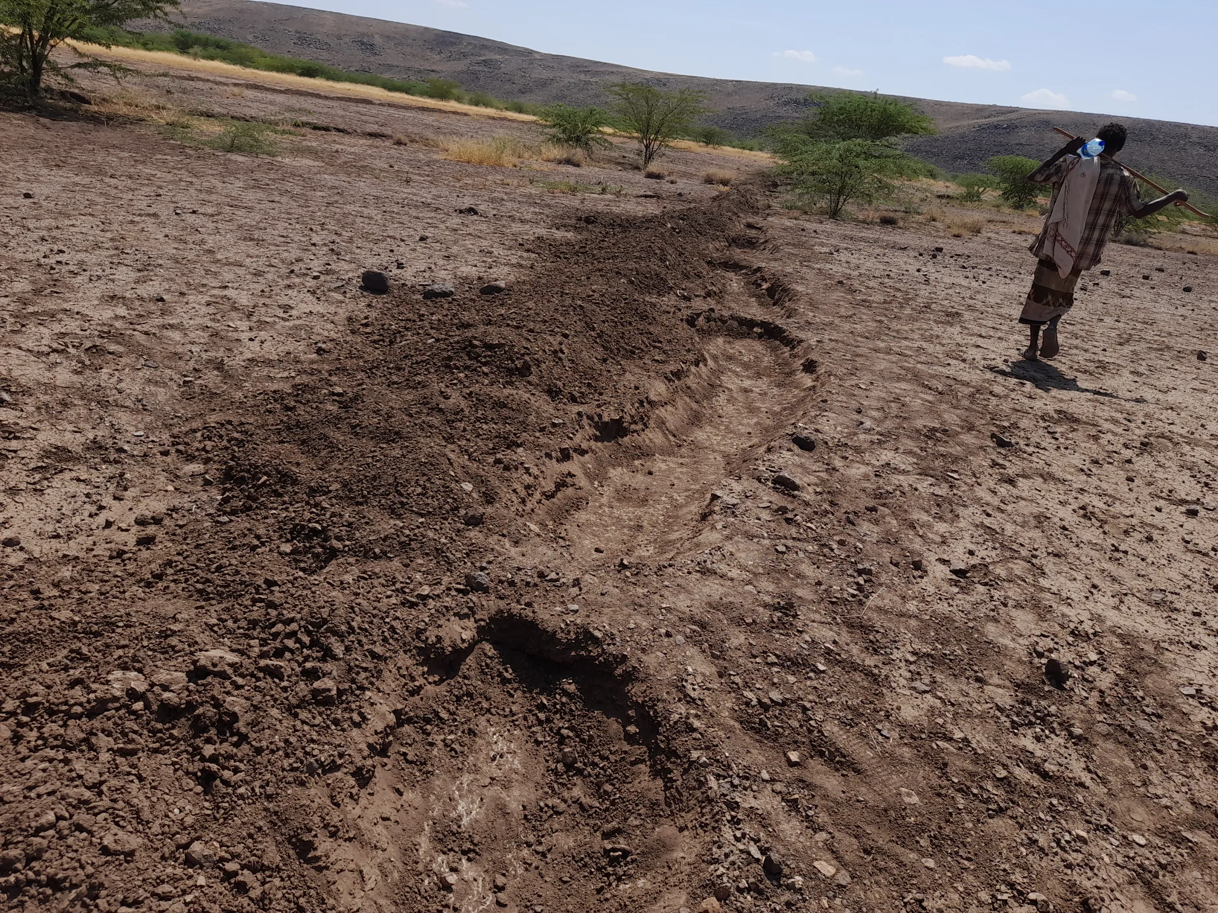 Deforested land in Sifra, Ethiopia