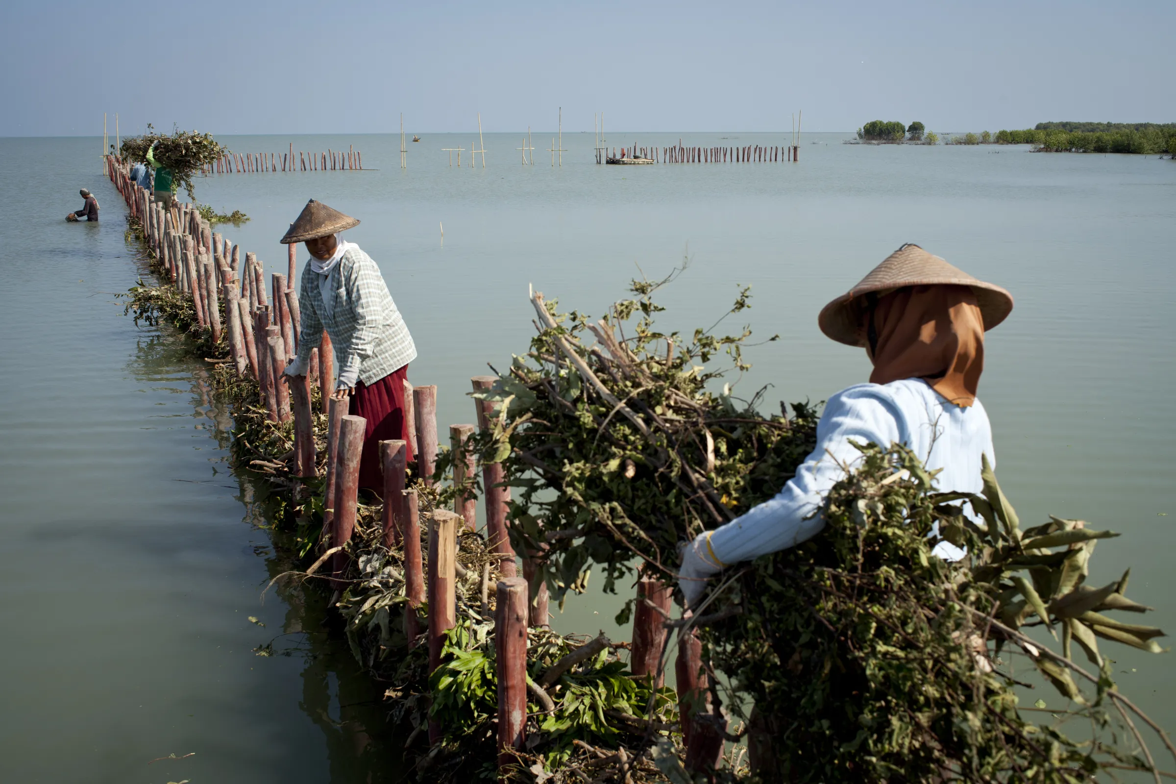 Women restoring degraded landscapes
