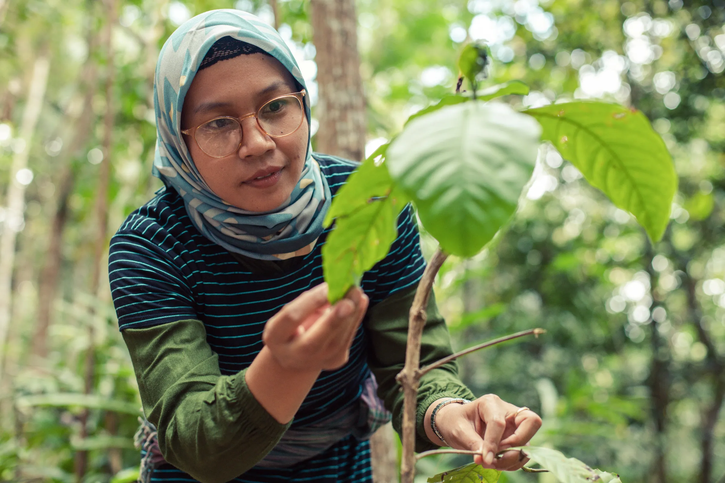 Female farmer checking a plant's health