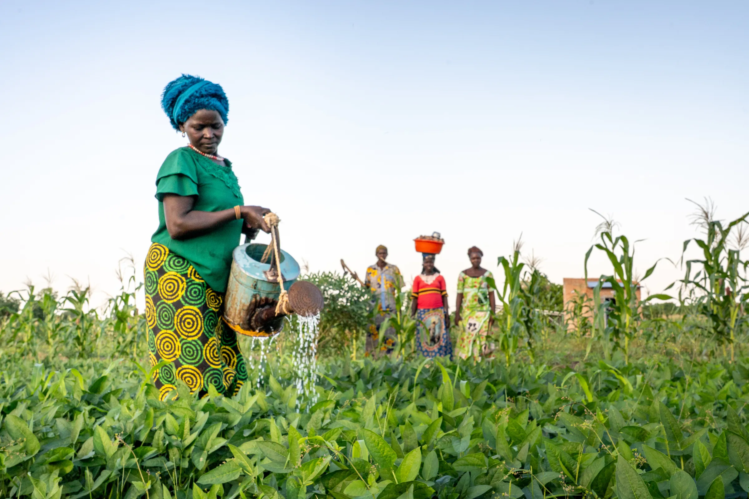 Farmers in Chad