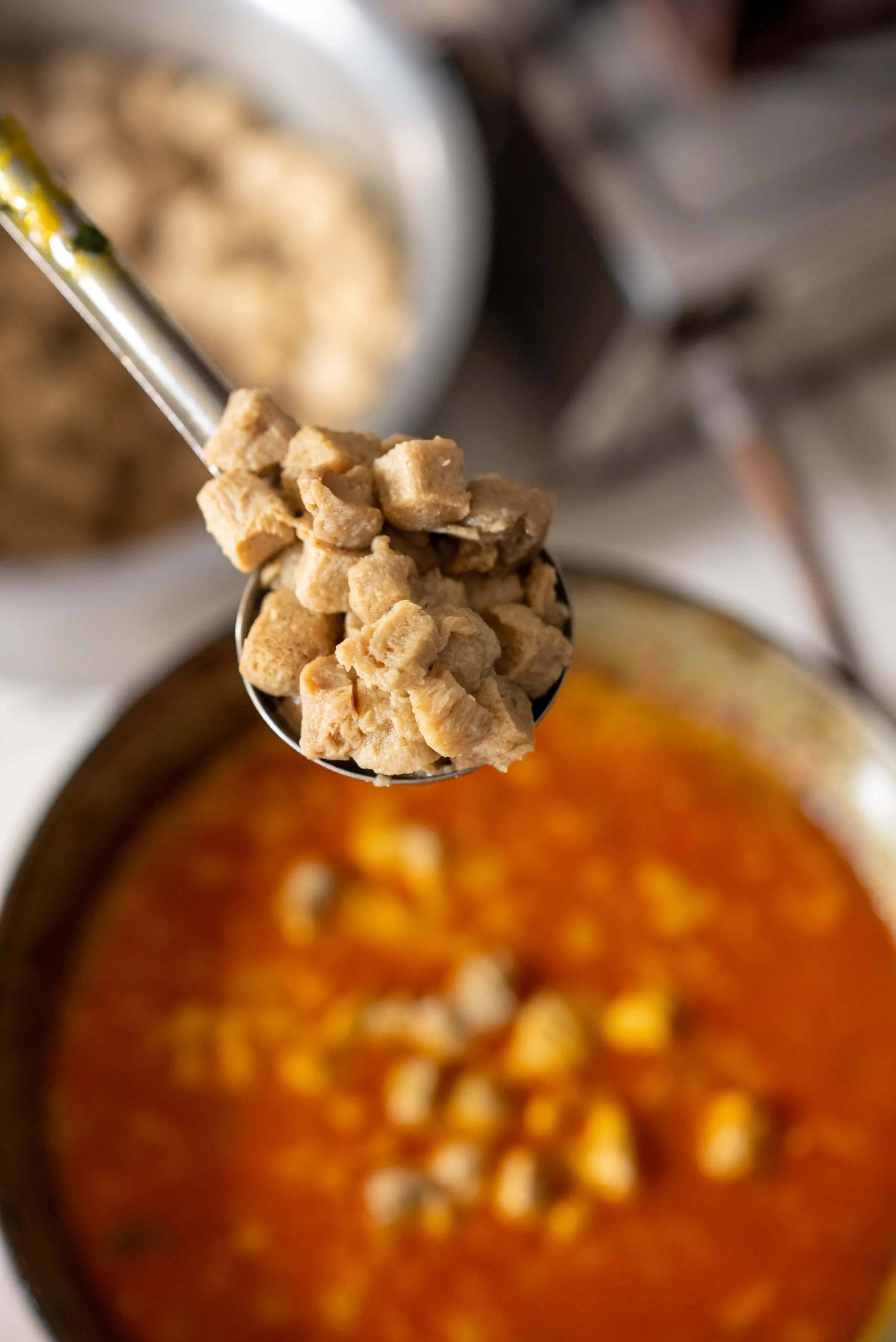 Soya dish in India