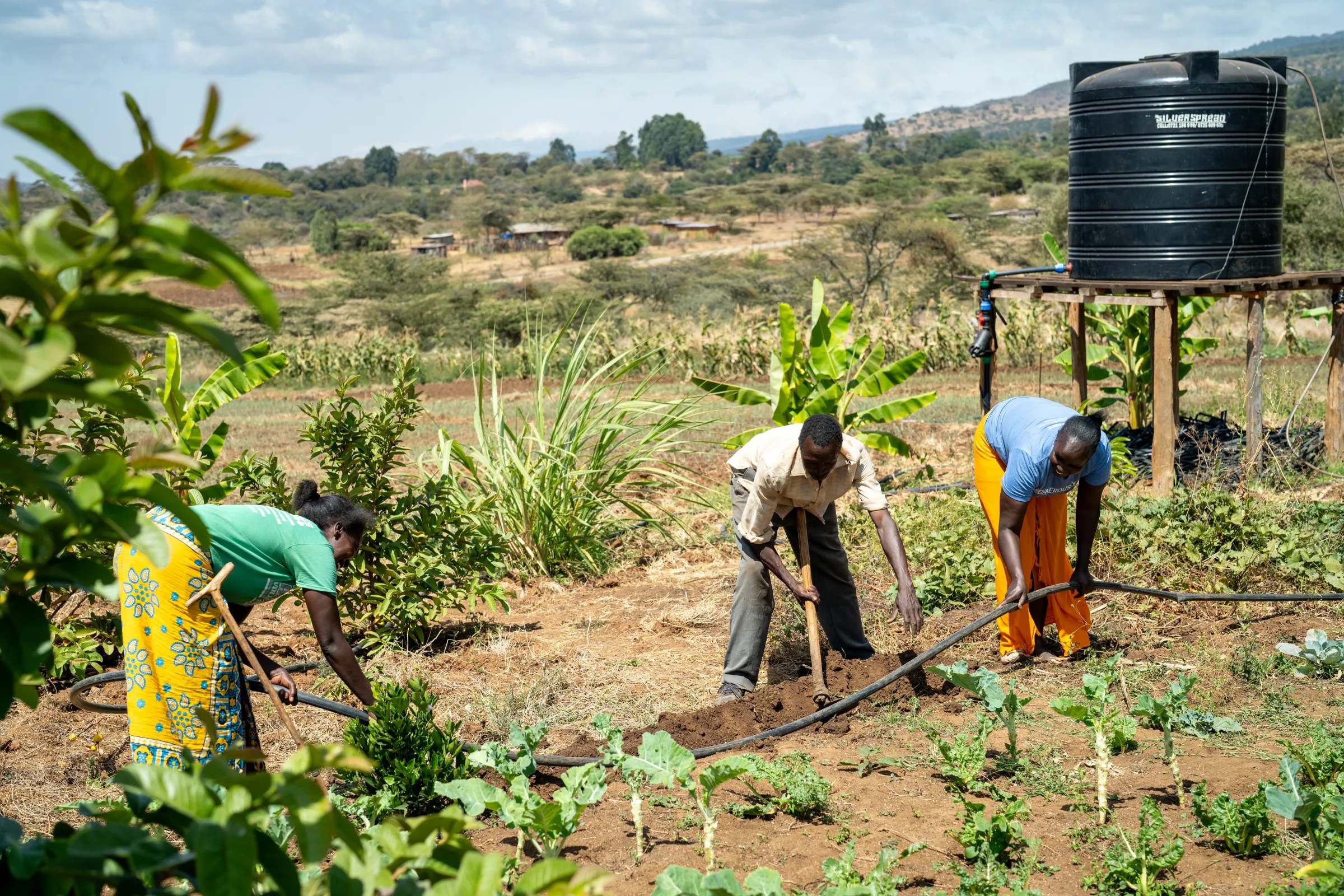 Farmers in Kenya working to connect a drip irrigation system to water their crops