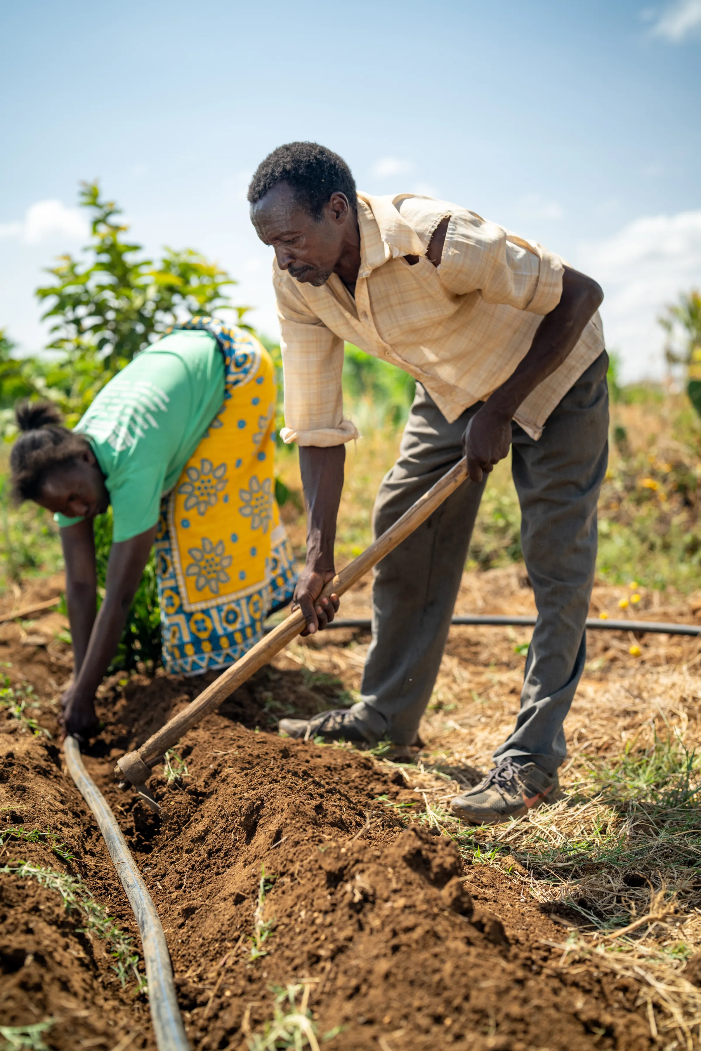 Kenyan farmers digging the land for irrigation purposes