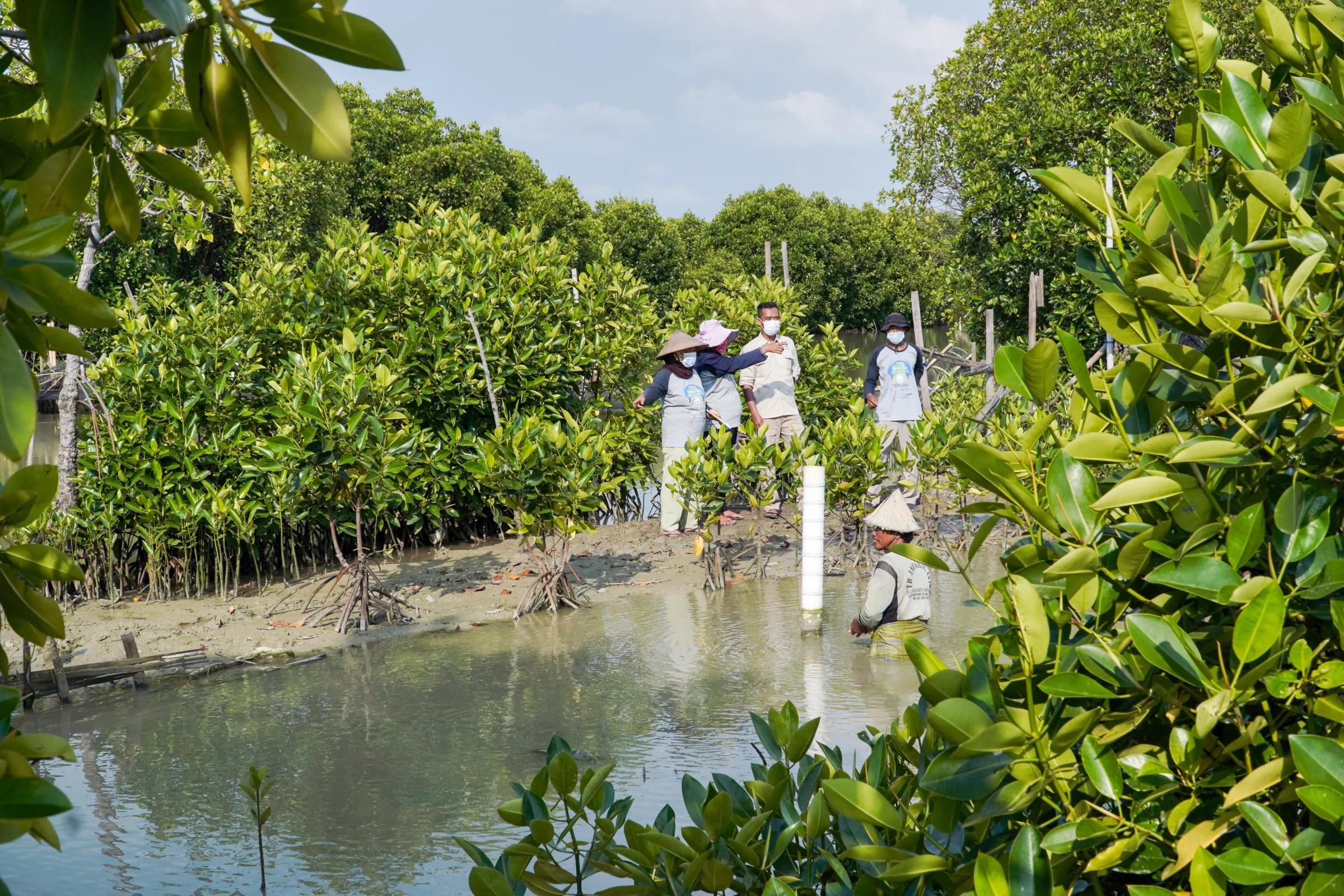 Nature-based solution in Indonesia