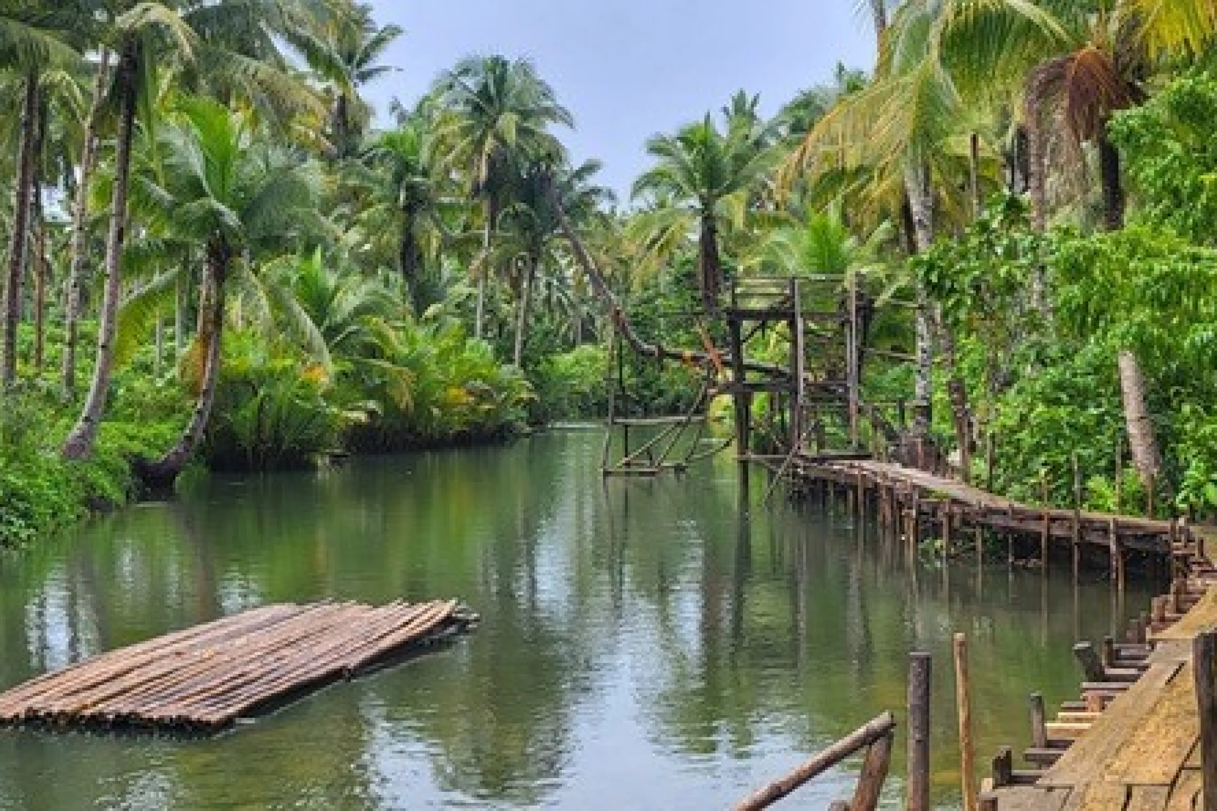 A wooden raft made of tree trunks floats on a river among palm trees.