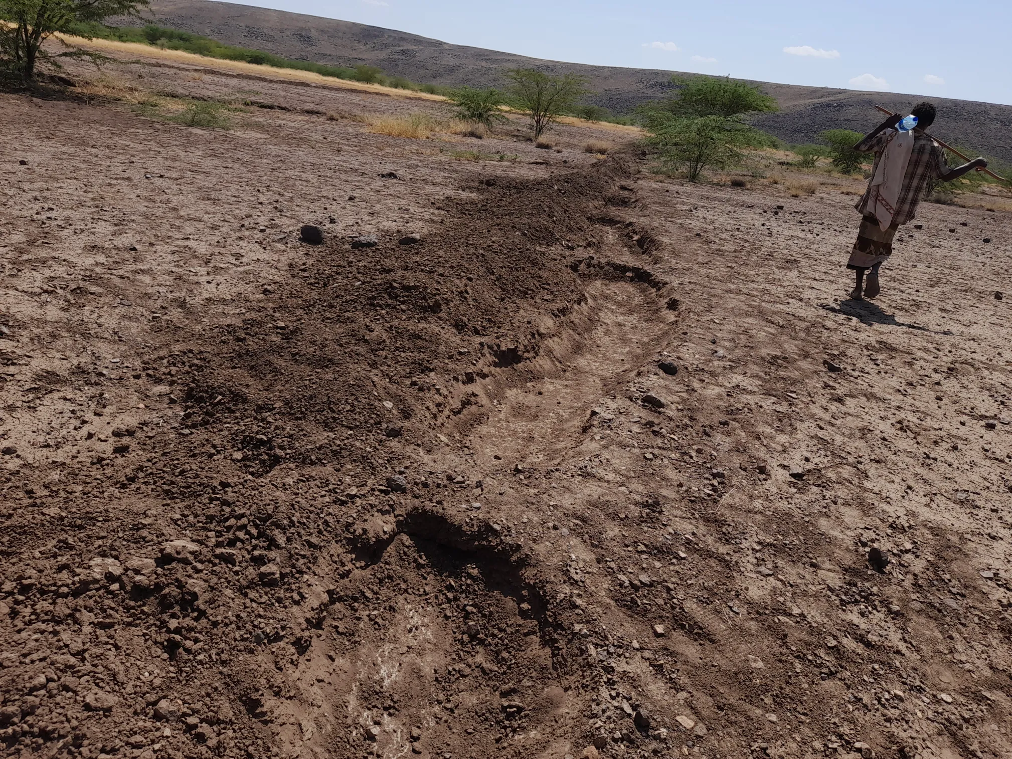 Deforested land in Sifra, Ethiopia